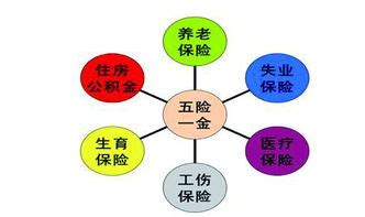 保险行业 五行